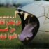 فساد الاندية الخاصة والسبوبة