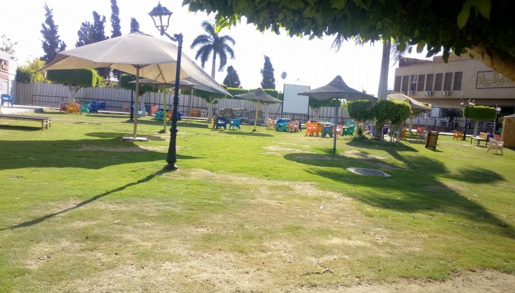 نادى الرواد