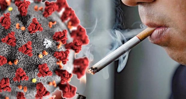 تأثير التدخين والنيكوتين علي فيروس كورونا المستجد